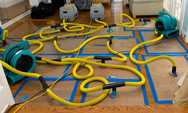 Professional Flood Damage Restoration technician working in Greenbank, WA